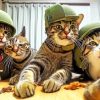 group of soldier cats selfie Diamond By Numbers