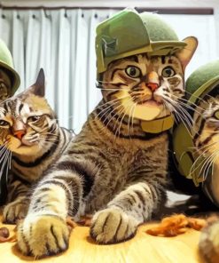 group of soldier cats selfie Diamond By Numbers
