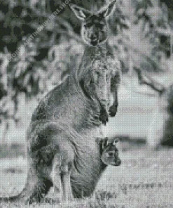 kangaroo in a pouch Diamond With Numbers