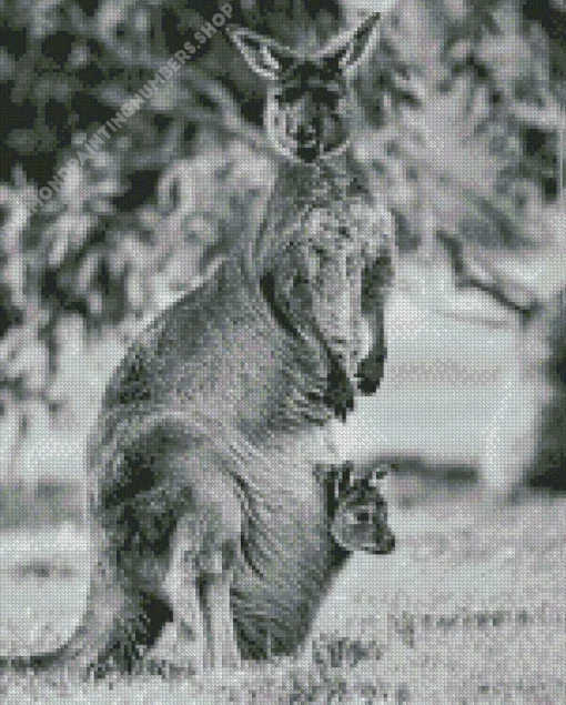 kangaroo in a pouch Diamond With Numbers