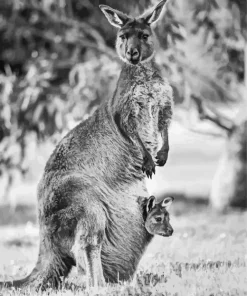 kangaroo in a pouch Diamond With Numbers