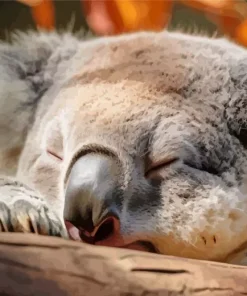 tired koala Diamond Paints