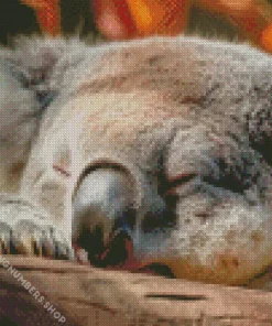 tired koala Diamond Paints