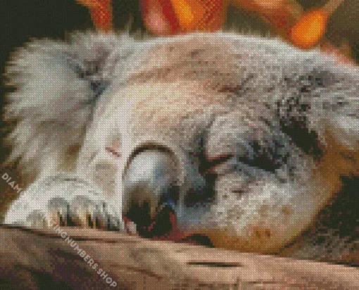 tired koala Diamond Paints
