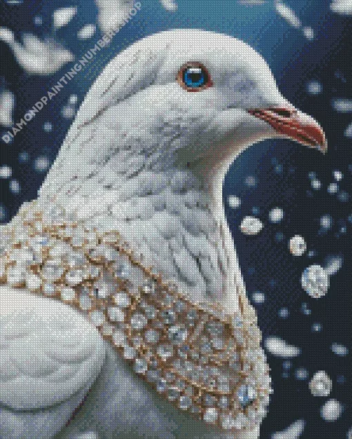 white fancy pigeon Diamond Paintings