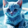 Baby Blue Cat Diamond Paints