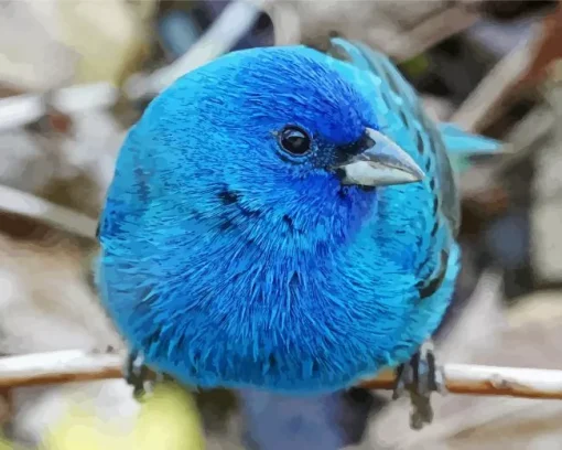 Blue canary bird Diamond With Numbers