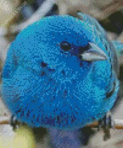 Blue canary bird Diamond With Numbers