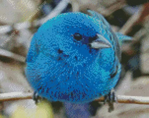 Blue canary bird Diamond With Numbers