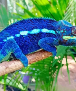 Dark Blue Chameleon Diamond Paints