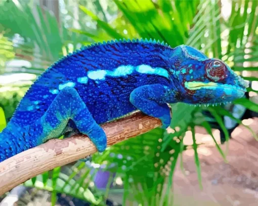 Dark Blue Chameleon Diamond Paints