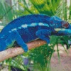 Dark Blue Chameleon Diamond Paints