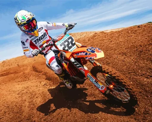 antonio cairoli Diamond With Numbers