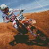 antonio cairoli Diamond With Numbers