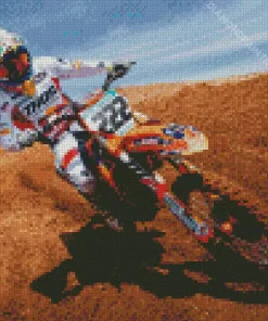 antonio cairoli Diamond With Numbers