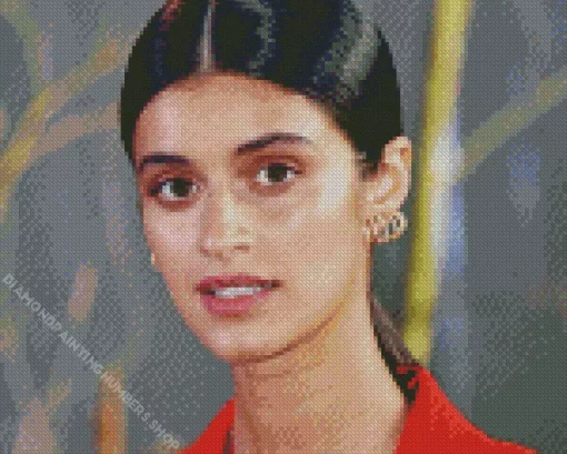 anya chalotra Diamond Paints