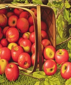 basket of apples Diamond Paints