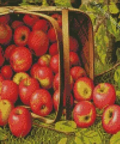 basket of apples Diamond Paints