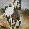 beautiful white stallion Diamond Paints