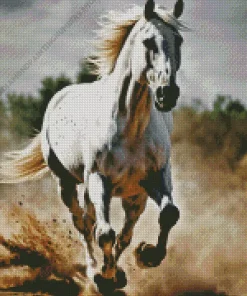 beautiful white stallion Diamond Paints