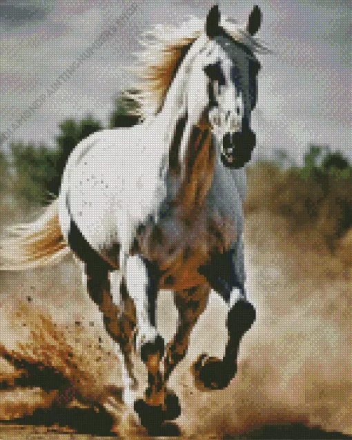beautiful white stallion Diamond Paints