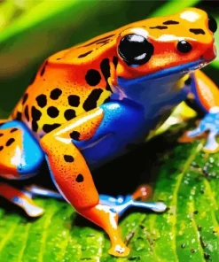 big orange frog Diamond Paints
