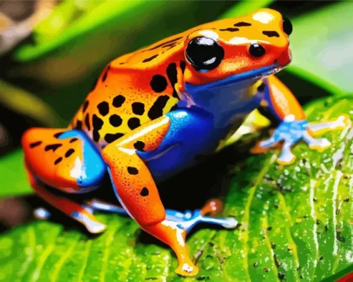 big orange frog Diamond Paints