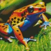 big orange frog Diamond Paints