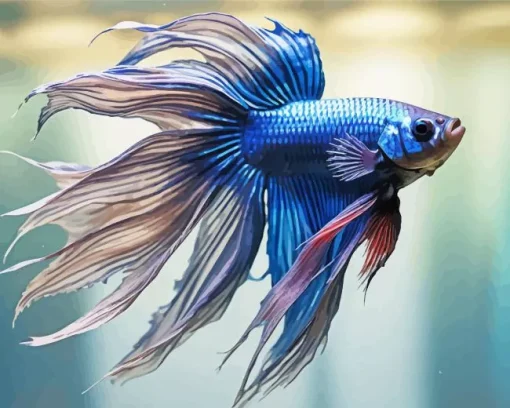 blue betta fish Diamond By Numbers