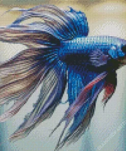 blue betta fish Diamond By Numbers