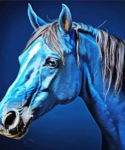 blue black horse Diamond By Numbers