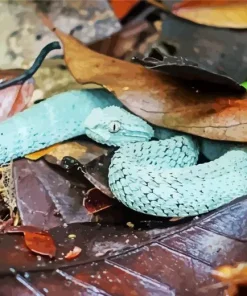 blue bush viper Diamond Paints