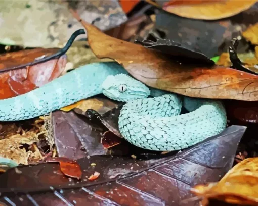 blue bush viper Diamond Paints