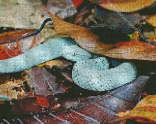 blue bush viper Diamond Paints