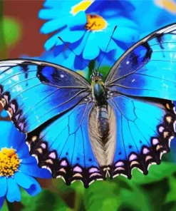 blue butterfly and flower Diamond With Numbers