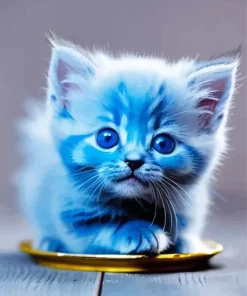 blue cat baby Diamond Paints
