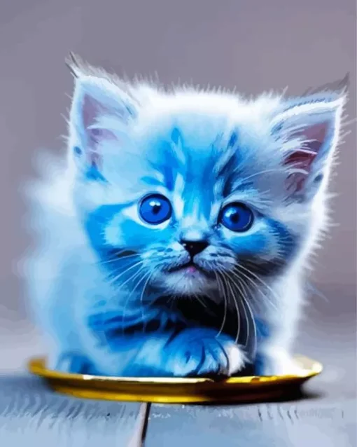 blue cat baby Diamond Paints