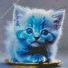 blue cat baby Diamond Paints