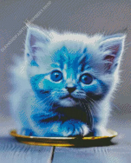 blue cat baby Diamond Paints