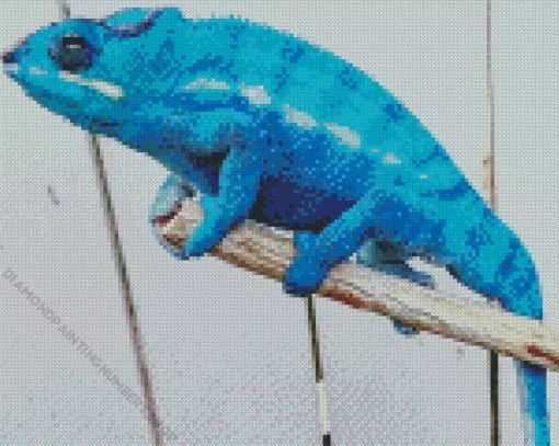 blue chameleon Diamond Paints
