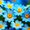 blue chamomile flowers Diamond Paints