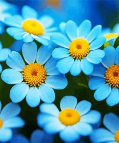 blue chamomile flowers Diamond Paints