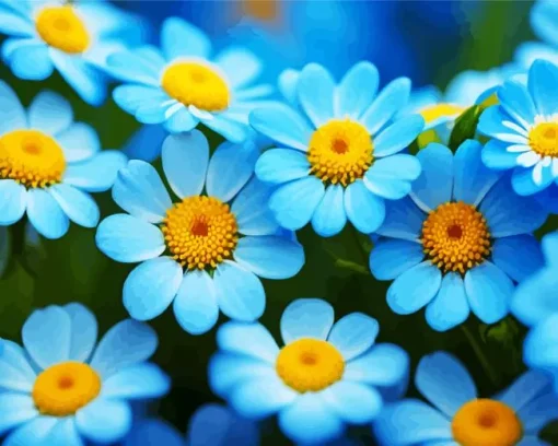 blue chamomile flowers Diamond Paints