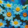 blue chamomile flowers Diamond Paints
