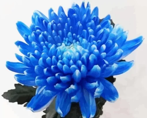 blue chrysanthemum Diamond Paints