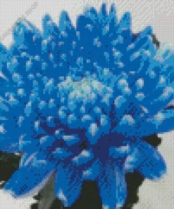 blue chrysanthemum Diamond Paints