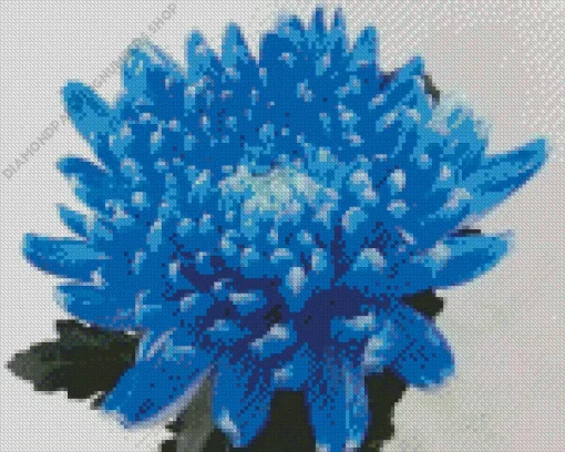 blue chrysanthemum Diamond Paints