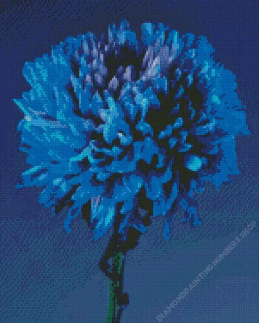 blue chrysanthemum flower Diamond Paints