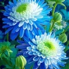 blue chrysanthemum flowers Diamond With Numbers