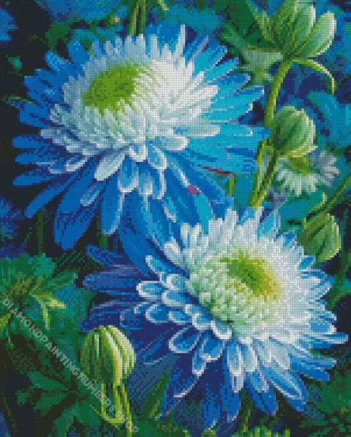 blue chrysanthemum flowers Diamond With Numbers
